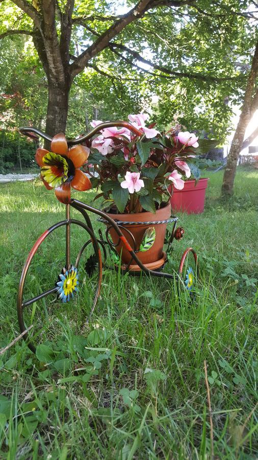 Le Saule Reveur Bed & Breakfast Die Exterior foto