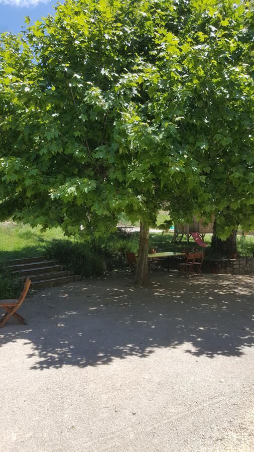 Le Saule Reveur Bed & Breakfast Die Exterior foto